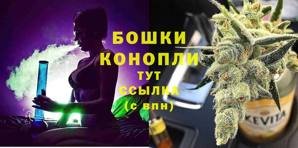 ECSTASY Богородицк